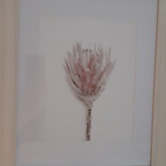 Set of 3 prints with frames - Picture 4 of 5